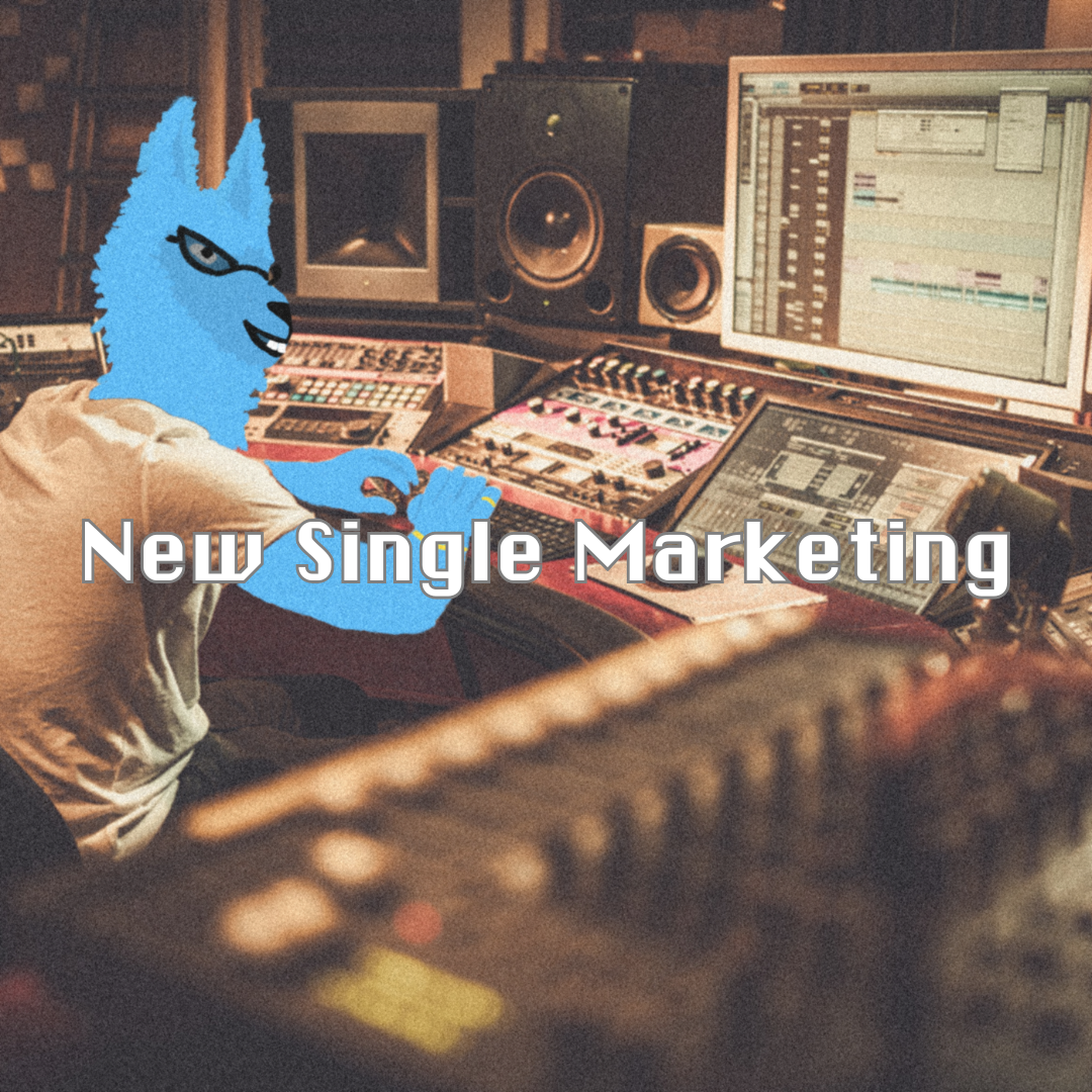 NEW SINGLE MARKETING STRATEGY