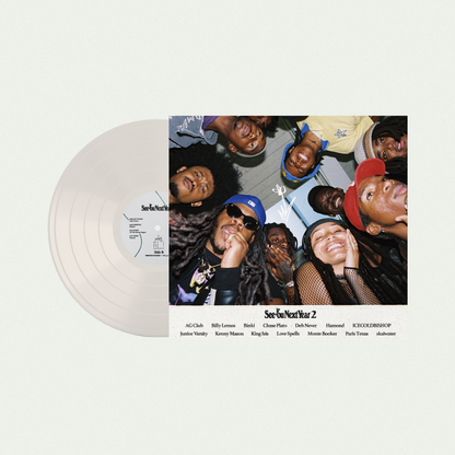 Pigeons and Planes Presents: See You Next Year 2 [vinyl]