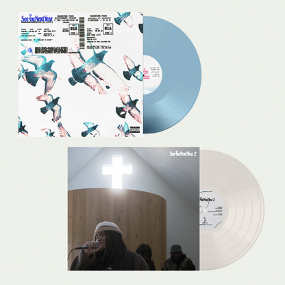 Pigeons and Planes Presents: See You Next Year 2 [vinyl]