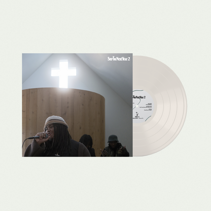 Pigeons and Planes Presents: See You Next Year 2 [vinyl]