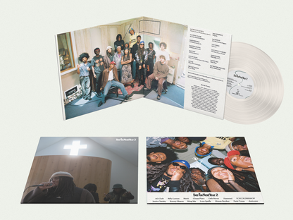 Pigeons and Planes Presents: See You Next Year 2 [vinyl]